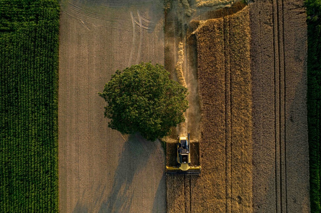 Agriculture & Food Security
